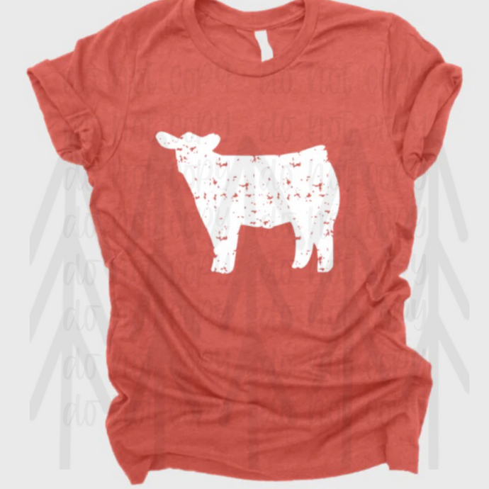 Cow Show Distressed - White Shirts