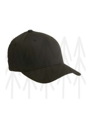 Flexfit Hat - Black Adult