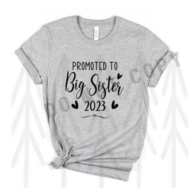 Promoted To Big Sister (Adult) Shirts